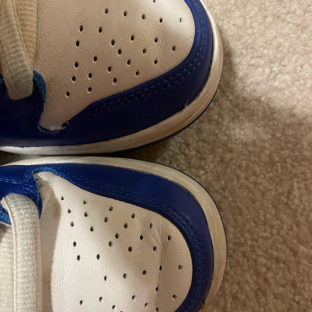 Nike Dunk High Pro ISO SB 'Kentucky' - Picture 11 of 11